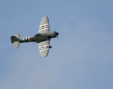 Johns Hawker Sea Fury IMG_9614