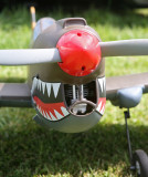 Jonnos Curtiss P40 Warhawk, IMG_8589