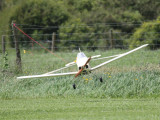 Unfortunate Pawnee landing 1, catching the tow line on the fence 0T8A0609