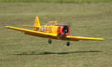 Steve does a Harrieresque landing in the strong wind, part 1, 0T8A5221.jpg