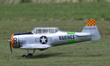 Andys Texan comes in, 0T8A8246.jpg