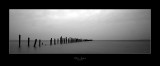 Old Bridport Pier #2