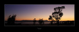 Pre-dawn Ben Lomond