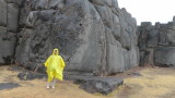 Big bird sesame street in saqsaywaman