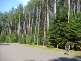 DSC00561.JPG
