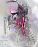 Mardi Gras Celebration Beads