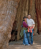 Michael & Roxana inside the hollow of a Giant Sequoia Tree.