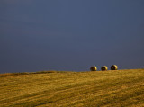 hay bales.jpg