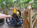 Sugar cane machine