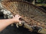 Coracle (a type of Indian boat)