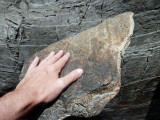 Acasta gneiss (3.96 billion years old)