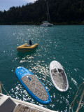 IMG_1524.jpg
