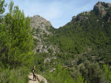 Soller