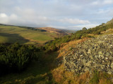Stow