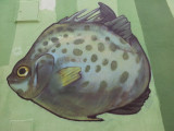 Lagos