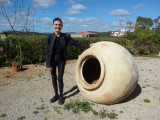 Tavira