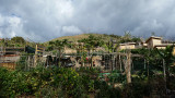 Funchal