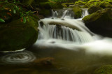 Smoky Mountains Beauty