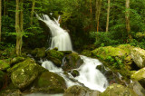 Mouse Creek Falls