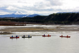 Paddlers on the Yukon, Whitehorse