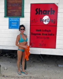 Kimberly - Dont feed the sharks!