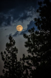 Full Moon in Kennedy Meadows