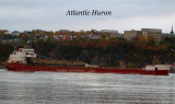 Atlantic Huron off Quebec City