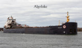 Algolake