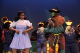 IMG_7942.jpg