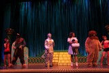 IMG_8013.jpg