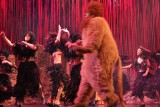 IMG_8129.jpg