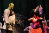 IMG_8434.jpg