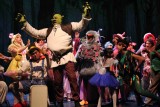 IMG_8438.jpg