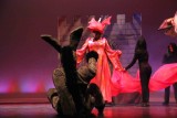 IMG_8560.jpg