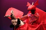 IMG_8582.jpg