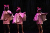 IMG_8705.jpg