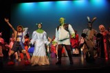 IMG_8806.jpg