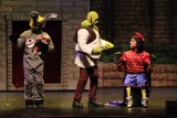 IMG_8983.jpg