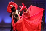 IMG_9056.jpg