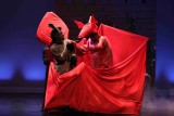 IMG_9057.jpg
