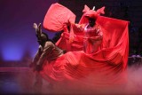 IMG_9061.jpg
