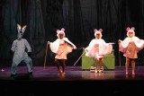 IMG_9237.jpg