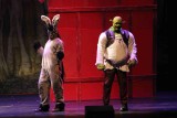 IMG_9240.jpg