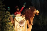 IMG_9254.jpg