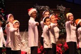 IMG_1453.jpg