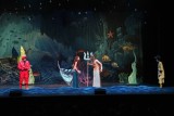 IMG_2800.jpg