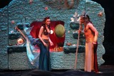 IMG_2882.jpg
