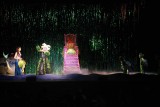 IMG_2903.jpg