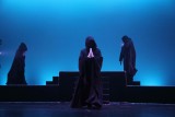 IMG_5428.jpg