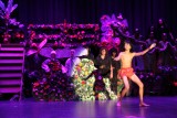 IMG_6537.jpg